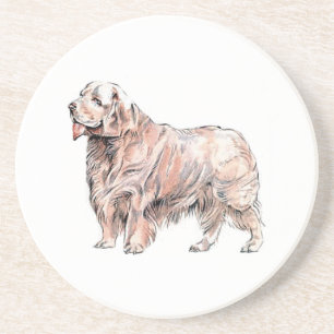 Posavasos Pascua de arena de Clumber Spaniel