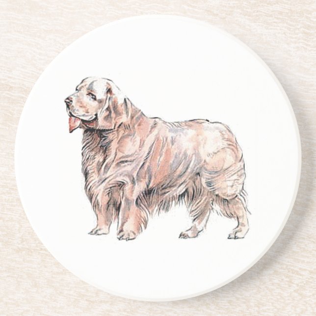 Posavasos Pascua de arena de Clumber Spaniel (Frente)