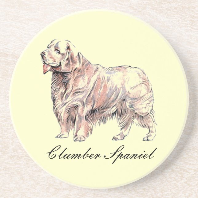 Posavasos Pascua de arena de Clumber Spaniel (Frente)