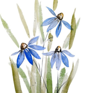 Posavasos Pascua de arenisca de Blue Daisies