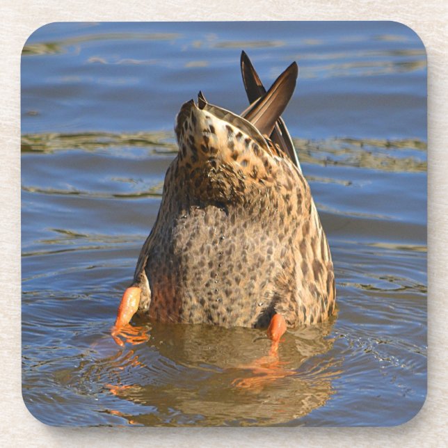 Posavasos Pascua de basura (Frente)
