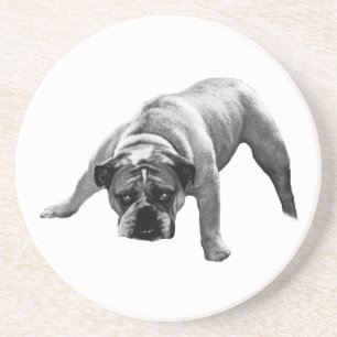 Posavasos Pascua de Bulldog vigilante