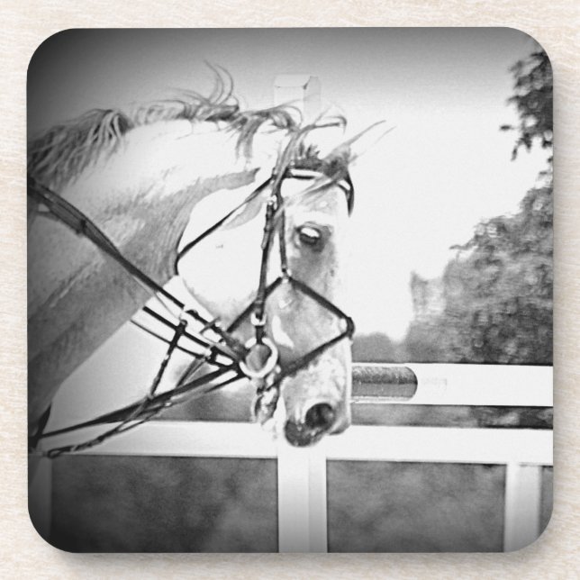 Posavasos Pascua de caballo gris (Frente)