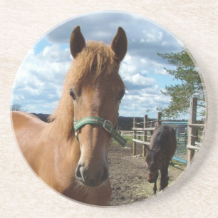 Posavasos Pascua de caballos