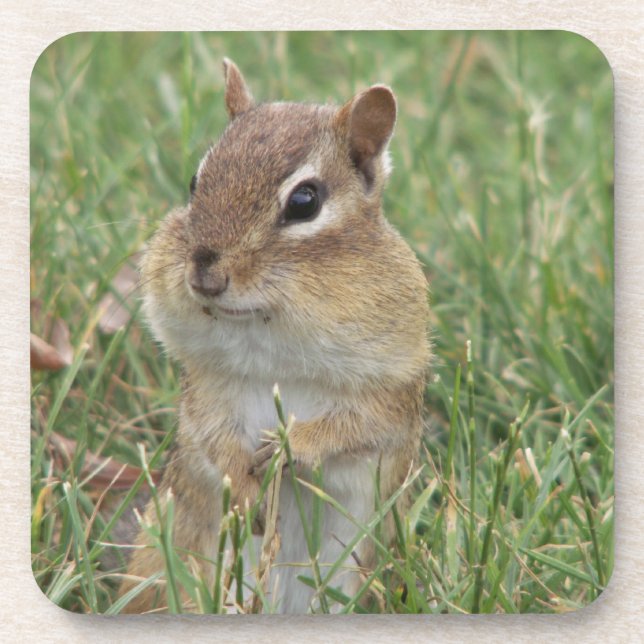 Posavasos Pascua de Chipmunk (Frente)