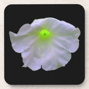 Posavasos Pascua de coral de brillo verde Petunia