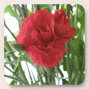 Posavasos Pascua de coral de carnación roja