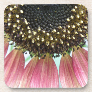 Posavasos Pascua de coral de girasol rosa