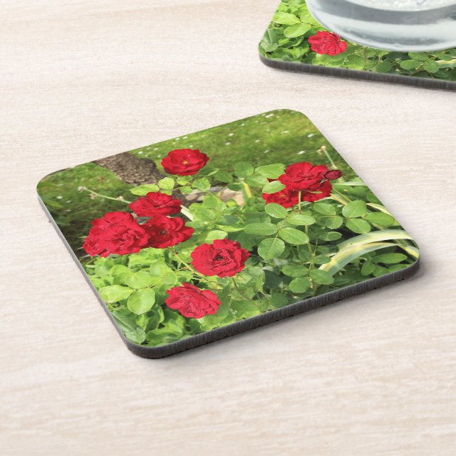 Posavasos Pascua de coral de rosas rojas (Lado Izquierdo)