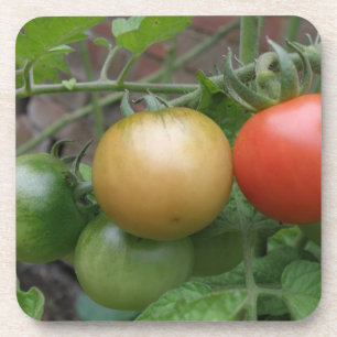 Posavasos Pascua de coral de tomates ligeros