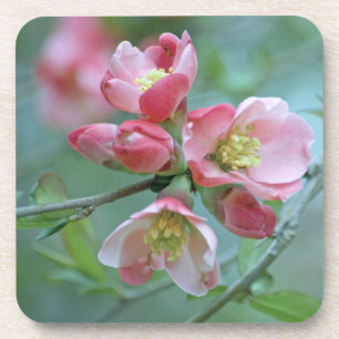 Posavasos Pascua de corcho de Apple #P0356