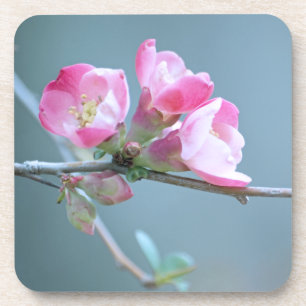 Posavasos Pascua de corcho de Apple #P0358