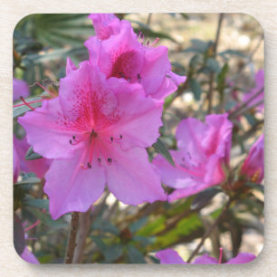 Posavasos Pascua De Corcho De Azaleas Rosa