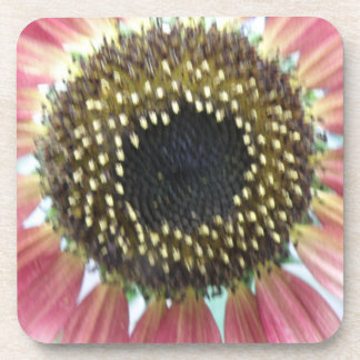 Posavasos Pascua de corcho de girasol rosa bonito
