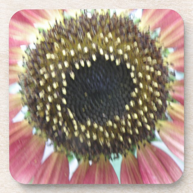 Posavasos Pascua de corcho de girasol rosa bonito (Frente)