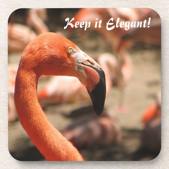 Posavasos ¡Pascua de Corcho Flamingo! (Frente)
