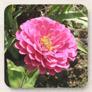 Posavasos Pascua de corcho rosa de Zinnia