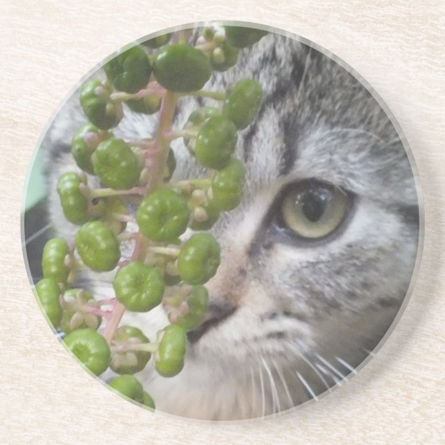 Posavasos Pascua de gatitos oculta (Frente)