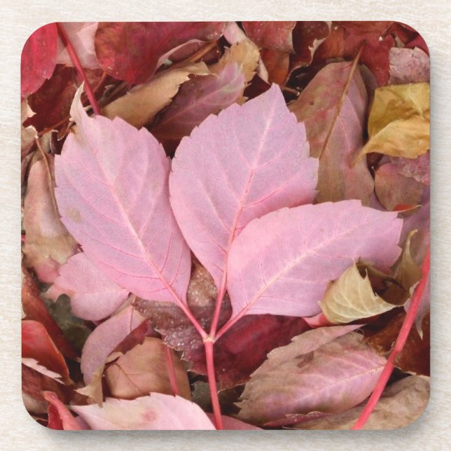 Posavasos Pascua de hojas rojas (Frente)