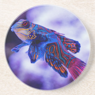 Posavasos Pascua de pescado Goby Mandarin