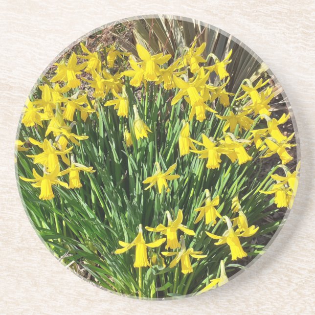 Posavasos Pascua de piedra arenisca de adobe amarillo primav (Frente)