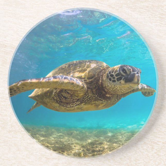 Posavasos Pascua de tortuga (Frente)