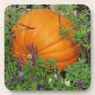 Posavasos Pascua del jardín de calabaza