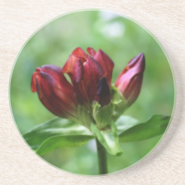 Posavasos Pascua floral gentiana roja (Frente)