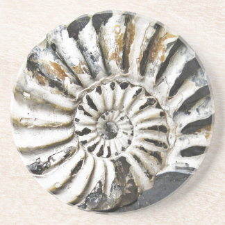 Posavasos Pascua petrificada de la casa de playa de Fósiles