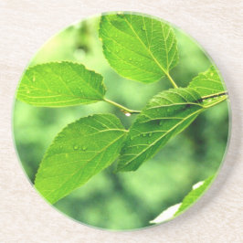 Posavasos Pascua 'Verano con gotas de lluvia'