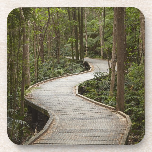 Posavasos Paseo marítimo a Nelson Falls, Franklin - Gordon (Frente)