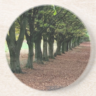 Posavasos Paseo por el bosque
