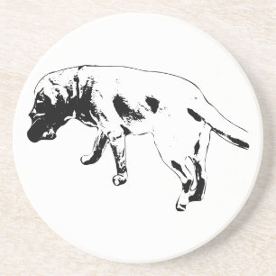 Posavasos Pasos e historias