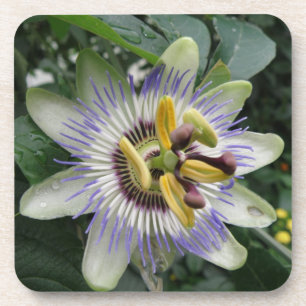 Posavasos Passion Flowers Cork Coaster