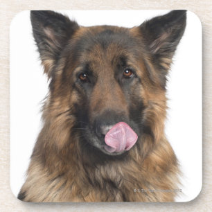 Posavasos Pastor alemán