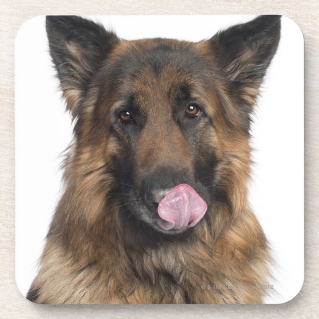Posavasos Pastor alemán (Frente)