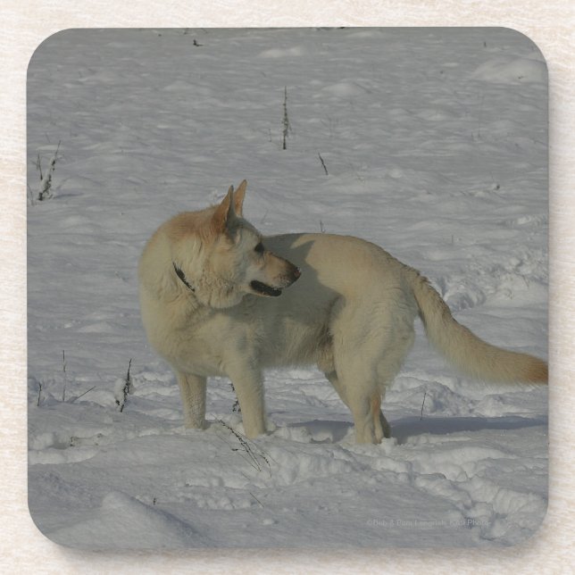 Posavasos Pastor alemán blanco en la nieve (Frente)