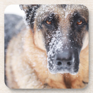 Posavasos Pastor alemán cerrado cubierto de nieve