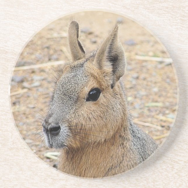 POSAVASOS PATAGONIAN MARA (Frente)