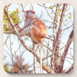 Posavasos Patas arriba un árbol