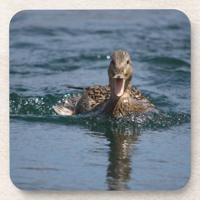Posavasos Pato abierto con pico (Frente)
