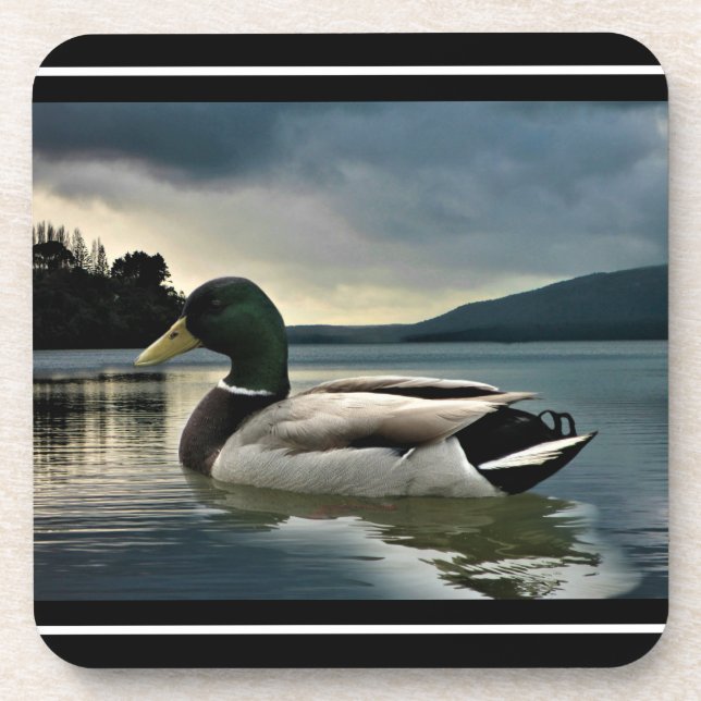 Posavasos Pato Mallard En La Pascua De Bebidas Del Lago (Frente)