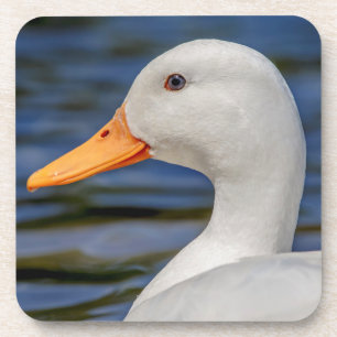 Posavasos Pato mallorquín blanco