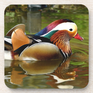 Posavasos Pato Mandarin