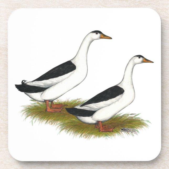 Posavasos Patos: Magpies negros (Frente)