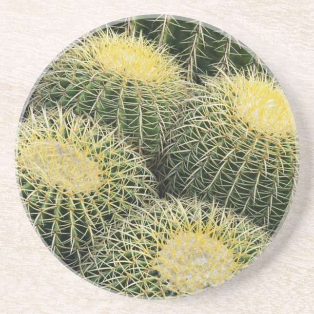 Posavasos Patrón de cactus (Frente)