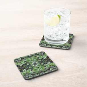 Posavasos Patrón de hoja de árbol de goma