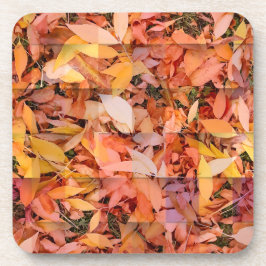 Posavasos Patrón de hojas de otoño