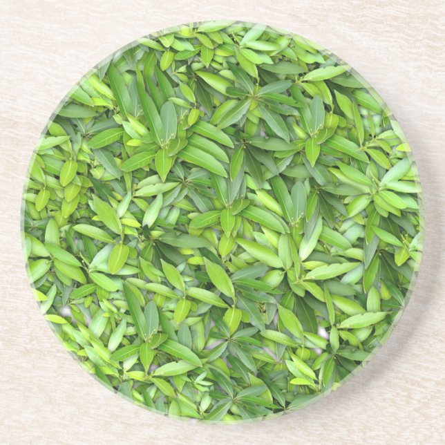 Posavasos Patrón de hojas verdes frondosas - Naturaleza Botá (Frente)