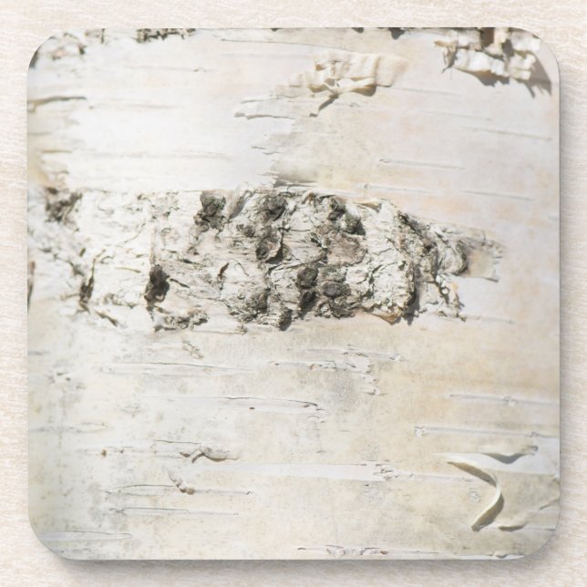 Posavasos Patrón de la corteza de Birch (Frente)